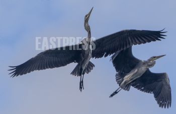 EA309364, Eastpress, Porvoo, Finland